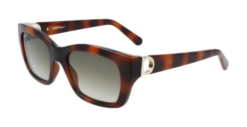 Salvatore Ferragamo SF1012S Sunglasses - view 5